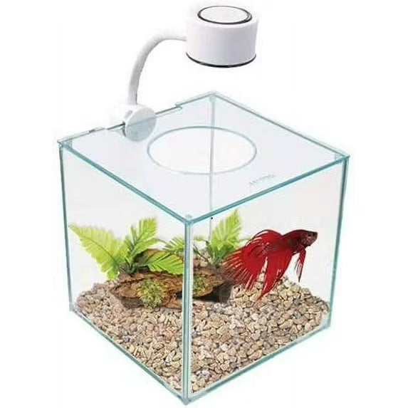 Marina Cubus Glass Betta Kit Aquarium