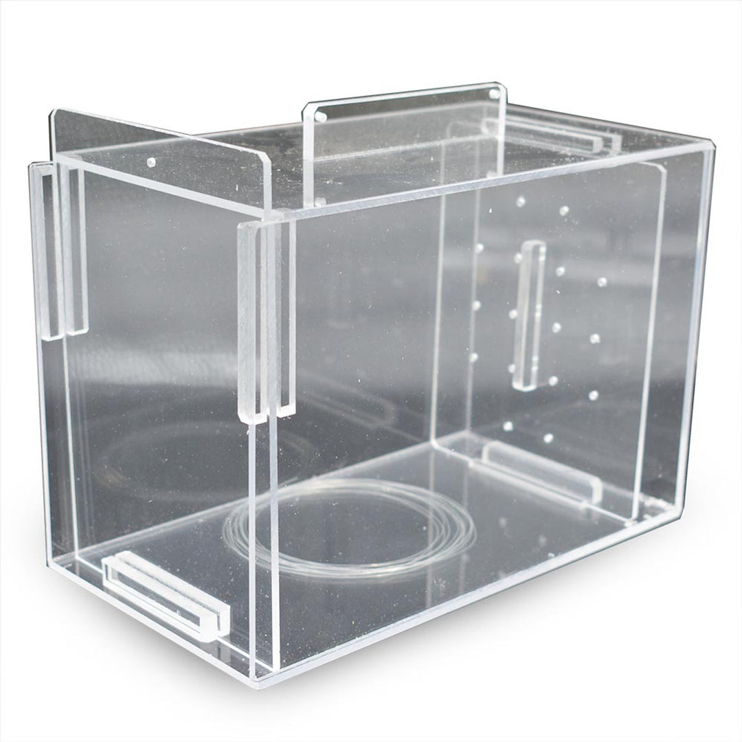 Acrylic Fish & Pest Trap - 9" x 5" x 6" Quarantine Acclimation Container