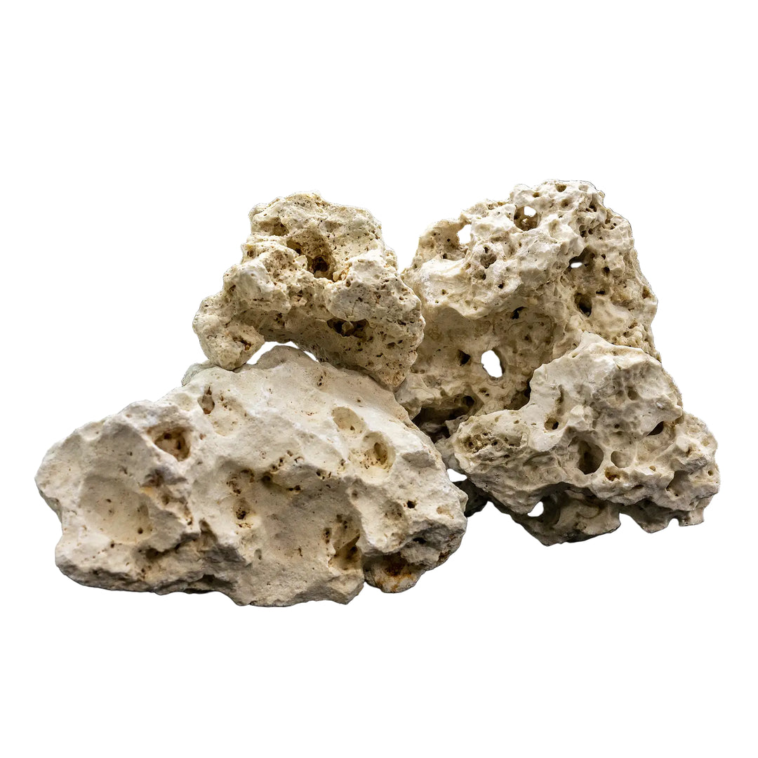 Holey Rock Freshwater Rock PER POUND