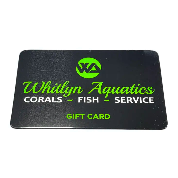 Whitlyn Aquatics - Gift Card