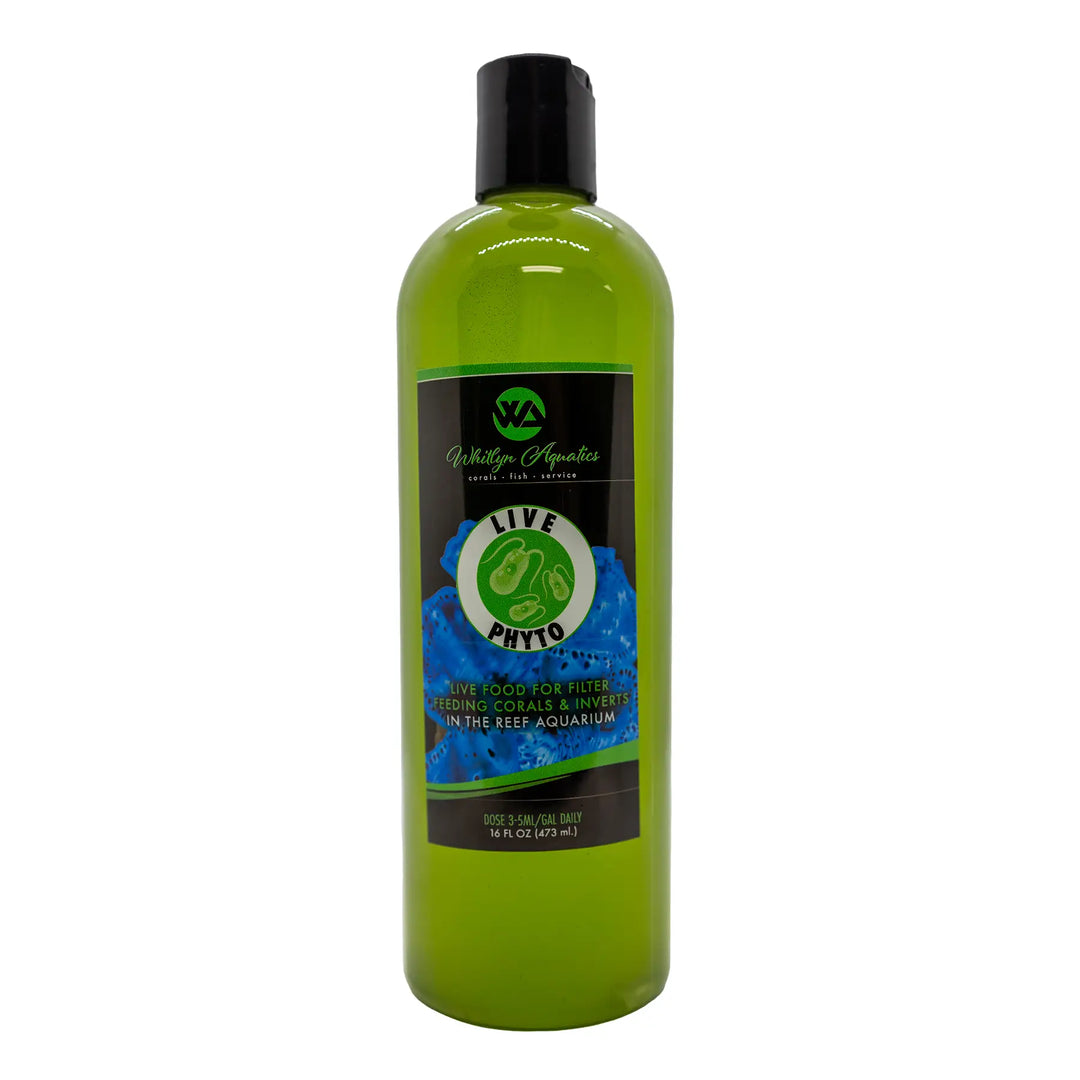 Whitlyn Aquatics LIVE PHYTO - 500ml / 16oz Live Phytoplankton