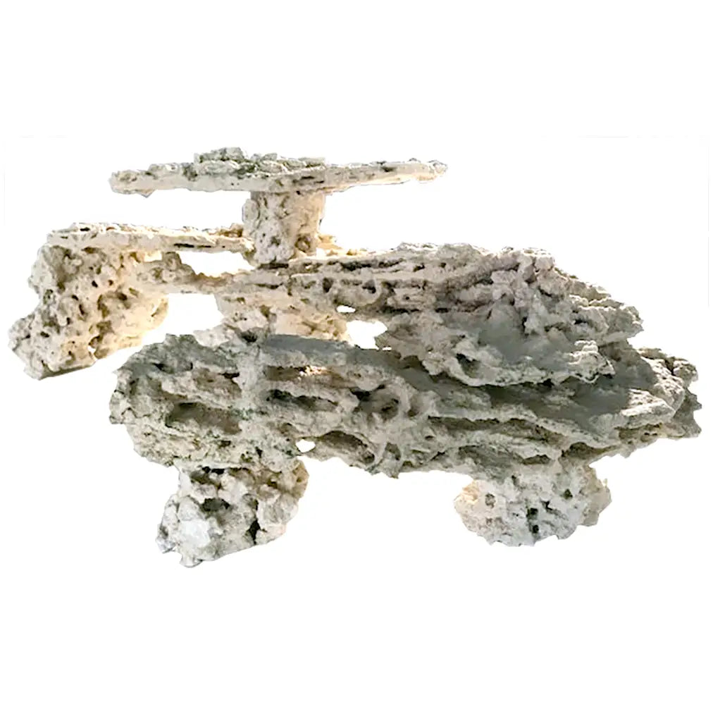 MarcoRocks - Premium Shelf Rock