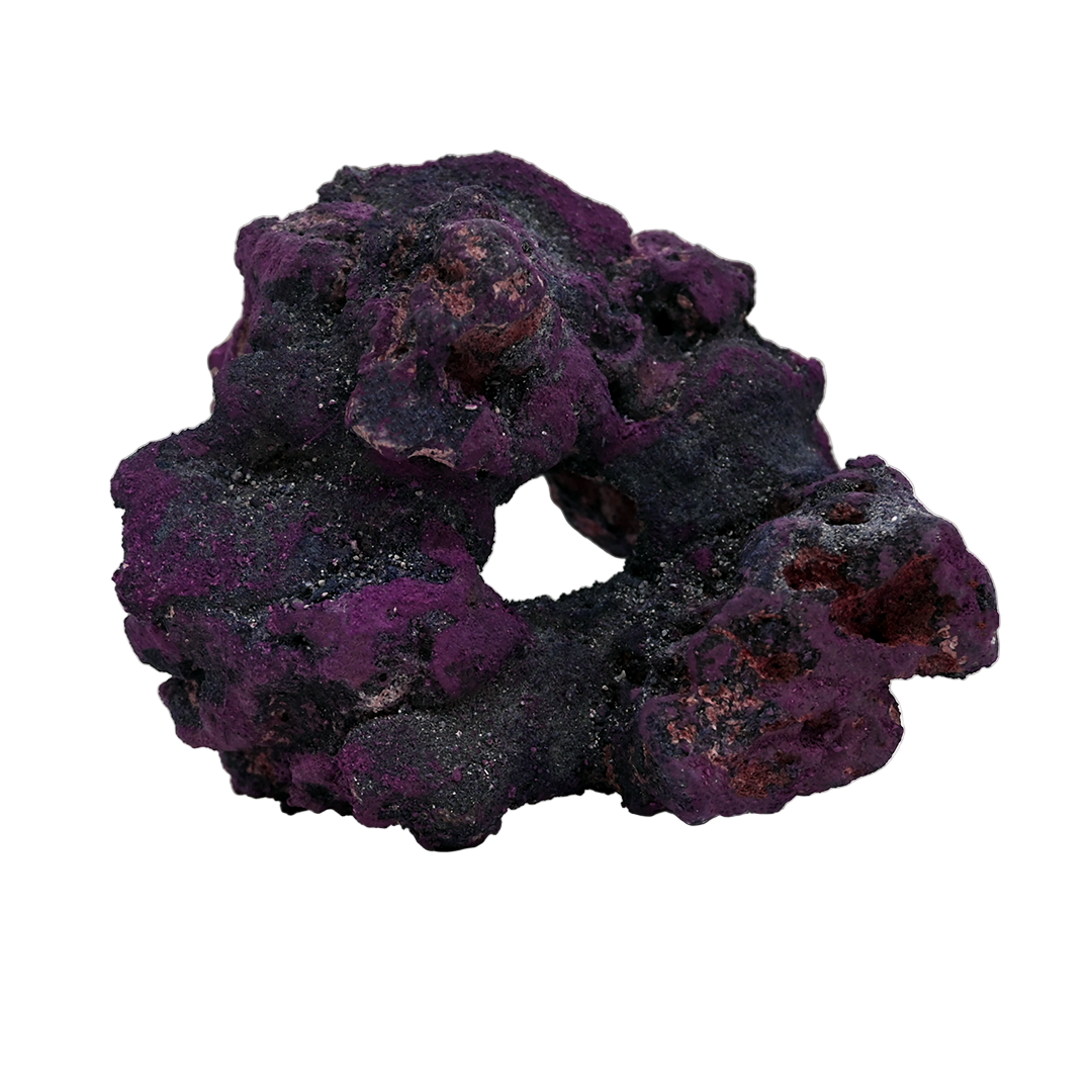 Live Rock - Donut Pest Free Live Rock