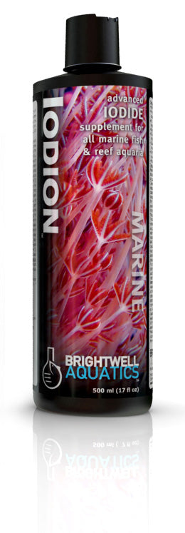 Brightwell - Iodion - Advanced Iodide Supplement