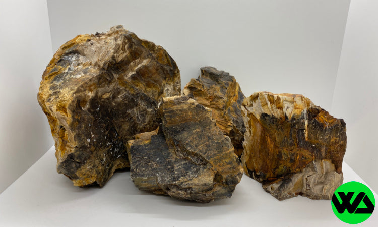 Whitlyn Aquatics - Petrified Wood Rock