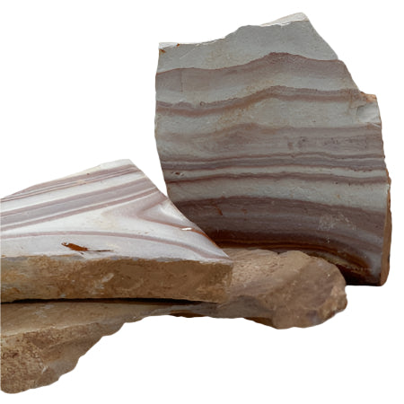 Whitlyn Aquatics - Rainbow Slate