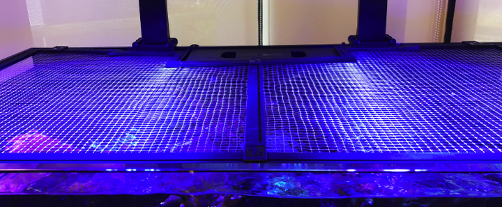 Red Sea - DIY Aquarium Net Cover 24", 36", 48"
