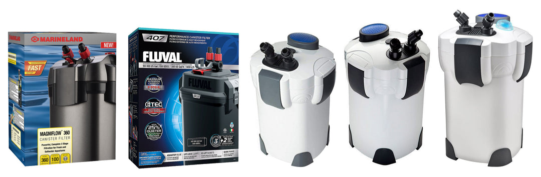 Canister, Sponge & HOB Filters
