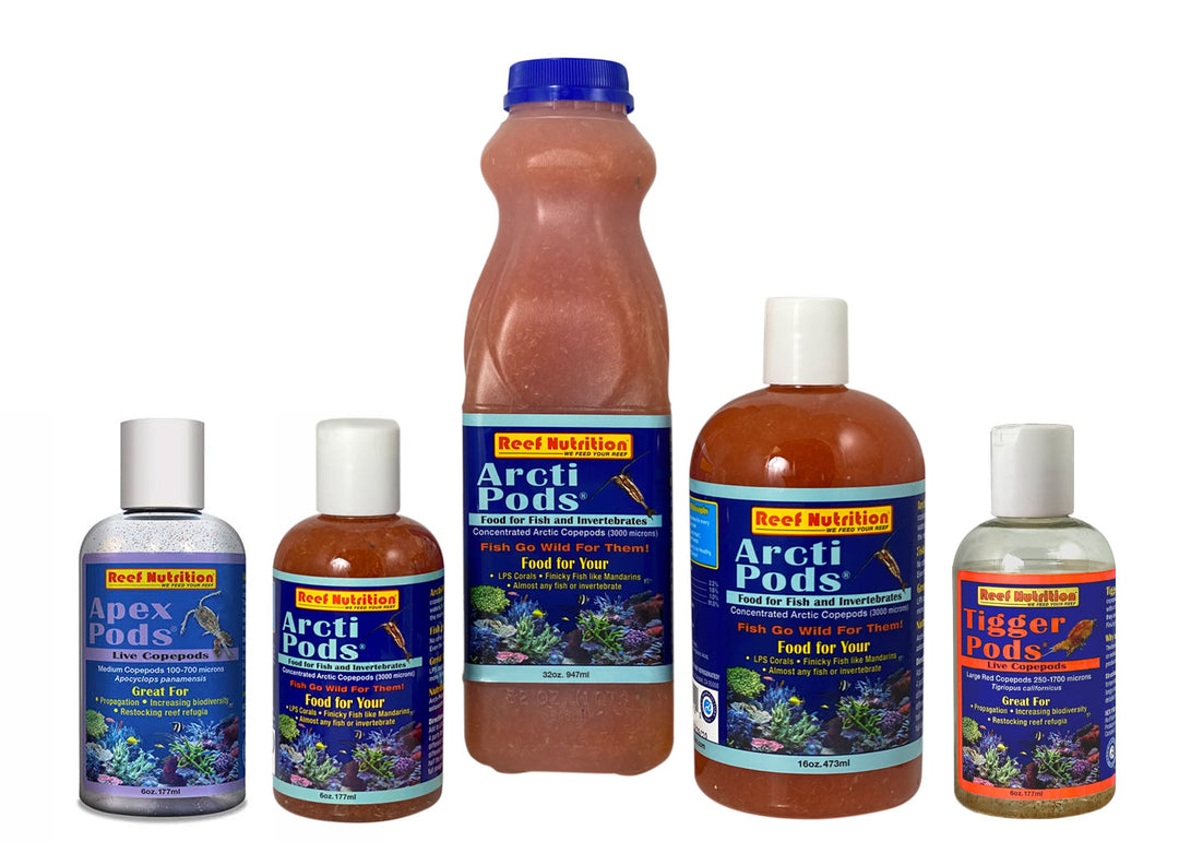 Live Fish & Coral Food