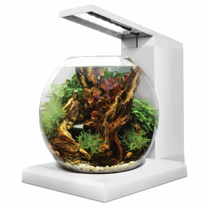 Fluval LIV 1.6 Gallon White Microscaping Kit