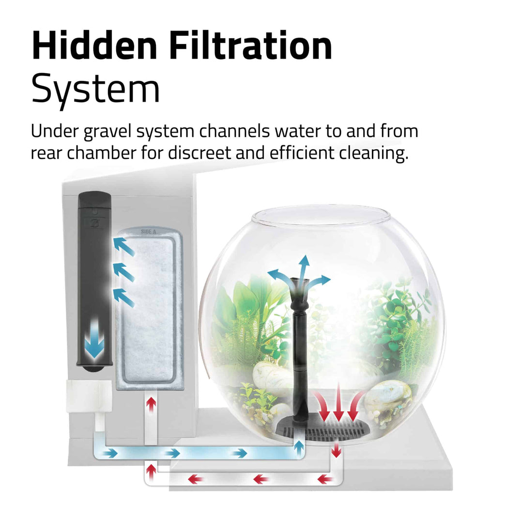 Fluval LIV 1.6 Gallon White Microscaping Kit