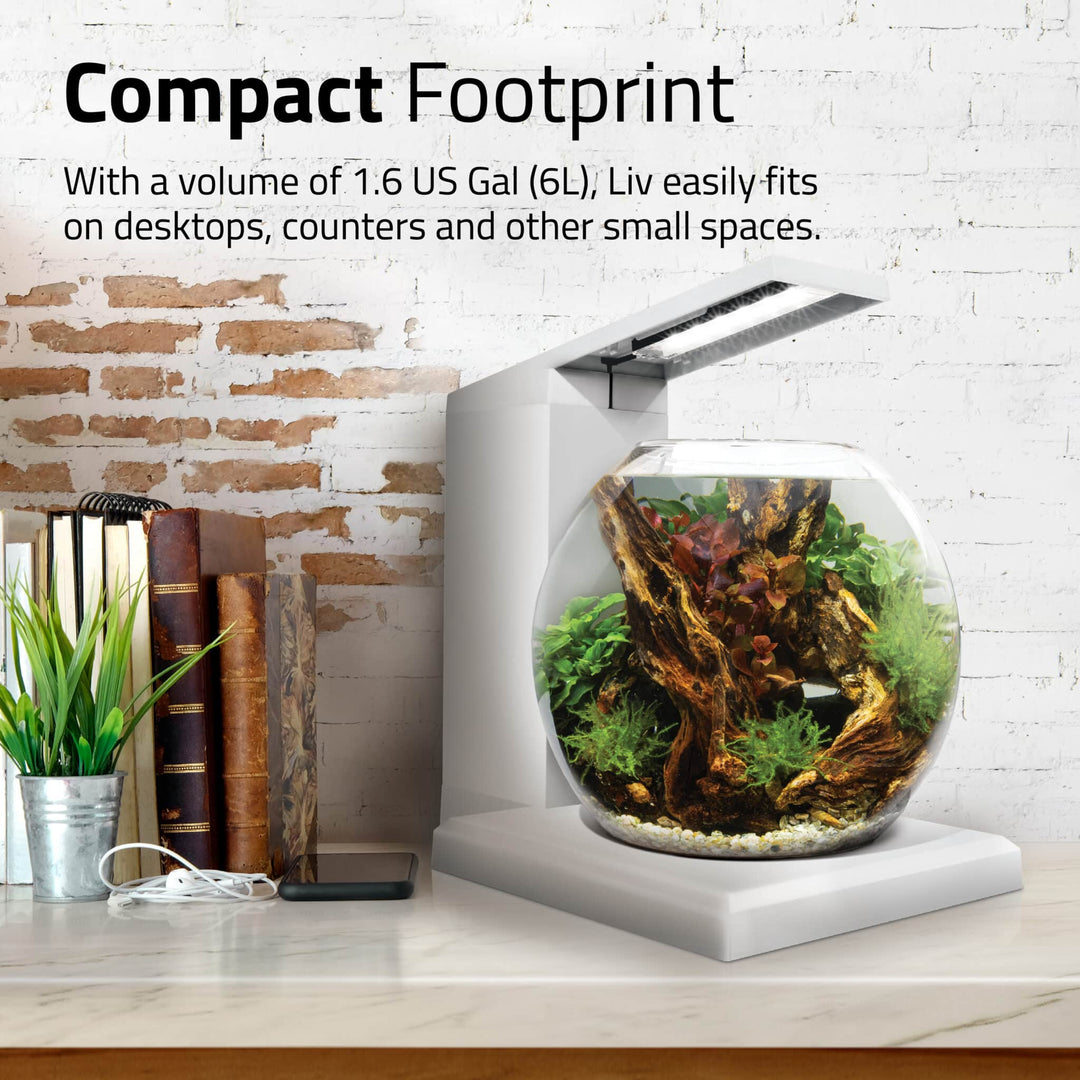 Fluval LIV 1.6 Gallon White Microscaping Kit