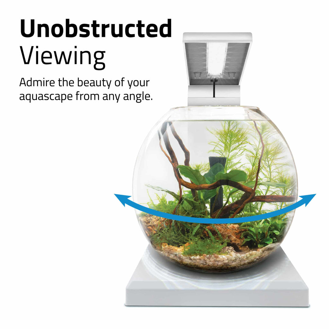 Fluval LIV 1.6 Gallon White Microscaping Kit