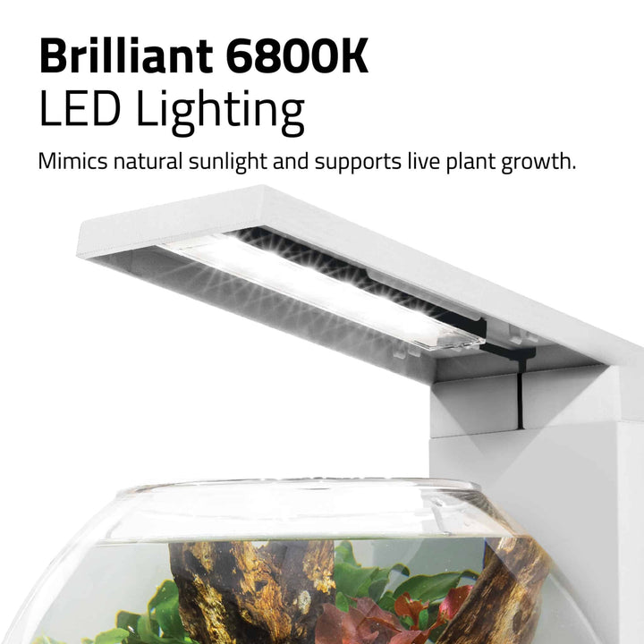 Fluval LIV 1.6 Gallon White Microscaping Kit