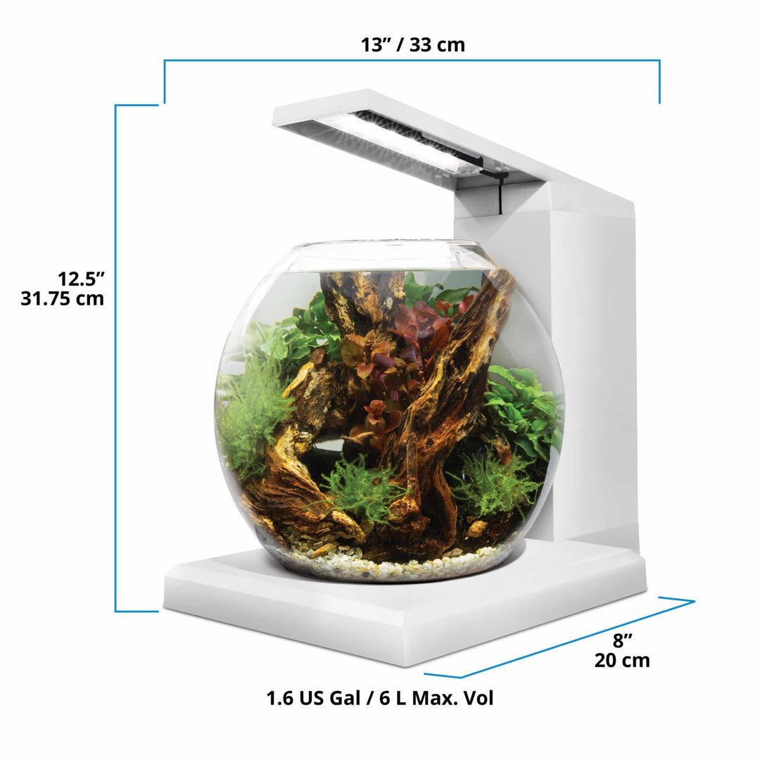 Fluval LIV 1.6 Gallon White Microscaping Kit