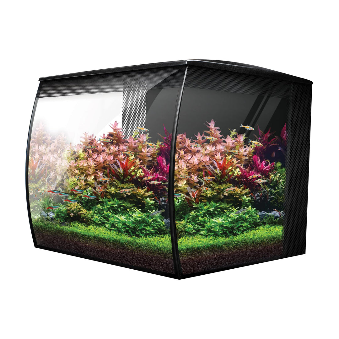 Fluval FLEX 2.0 9 Gallon Black Freshwater Kit