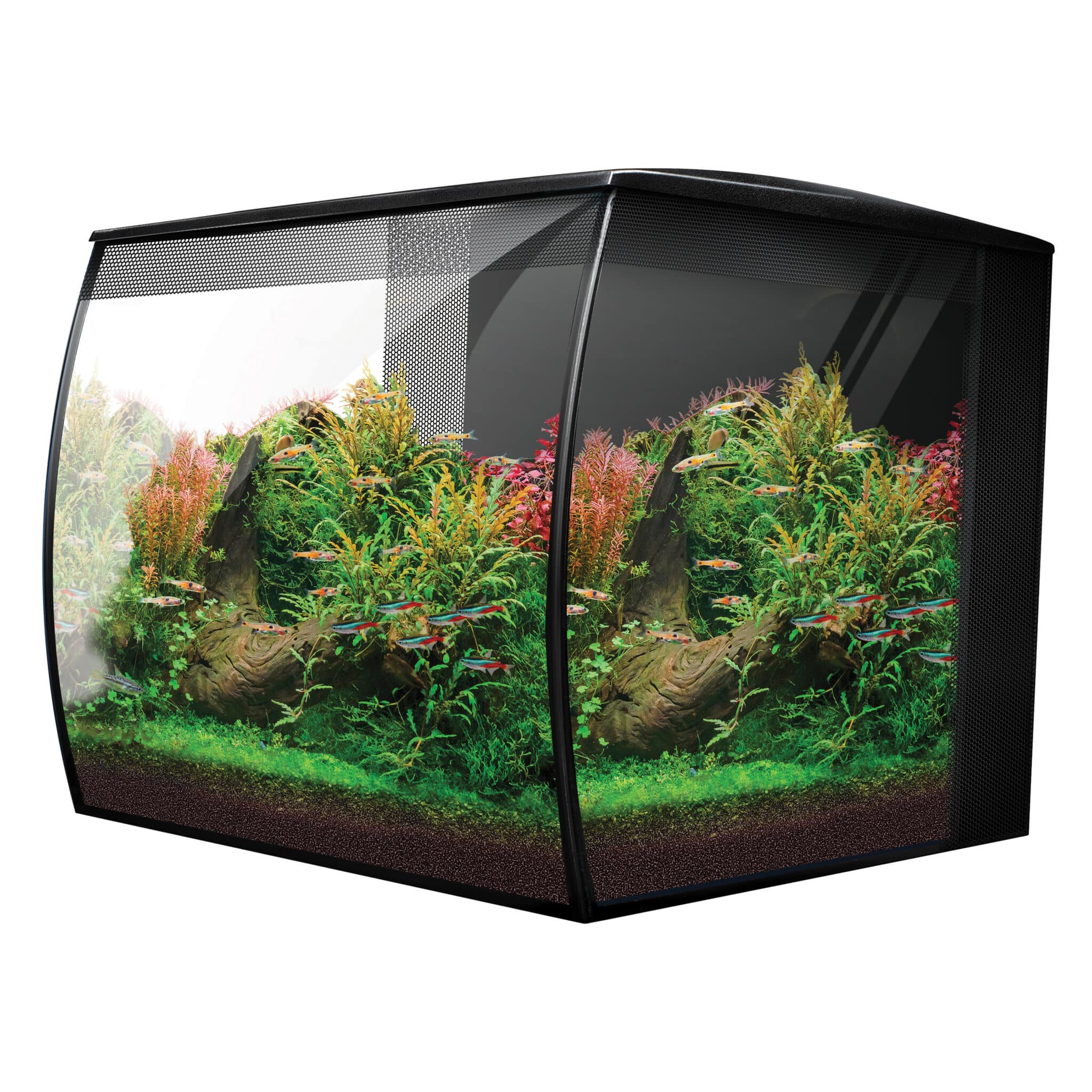 Fluval FLEX 2.0 15 Gallon Black Freshwater Kit – Whitlyn Aquatics