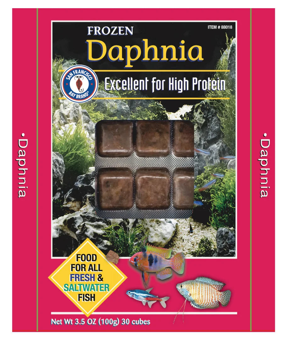 San Francisco Bay Brand - Frozen Food - Daphnia 30 cubs 3.5oz