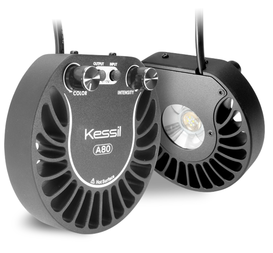 Kessil A80 Tuna Blue LED Aquarium Light