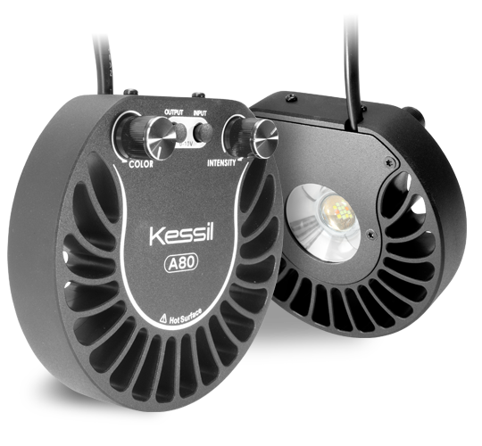 Kessil A80 Tuna Sun LED Aquarium Light