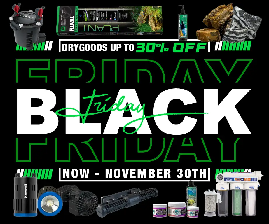 Black Friday Sale Drygoods up to 30% off
