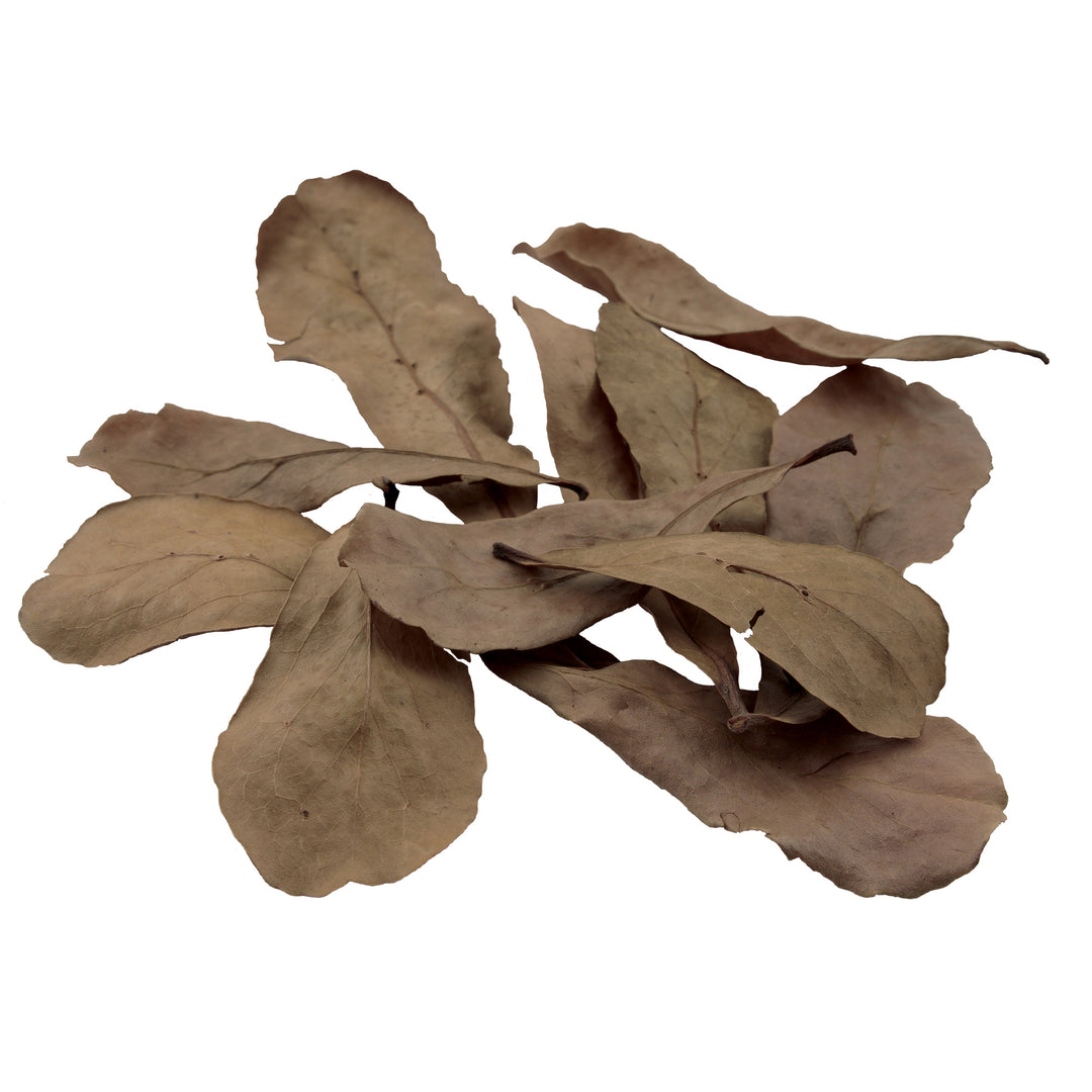 Fluval Betta Tropical Almond Leaf 10 Pack