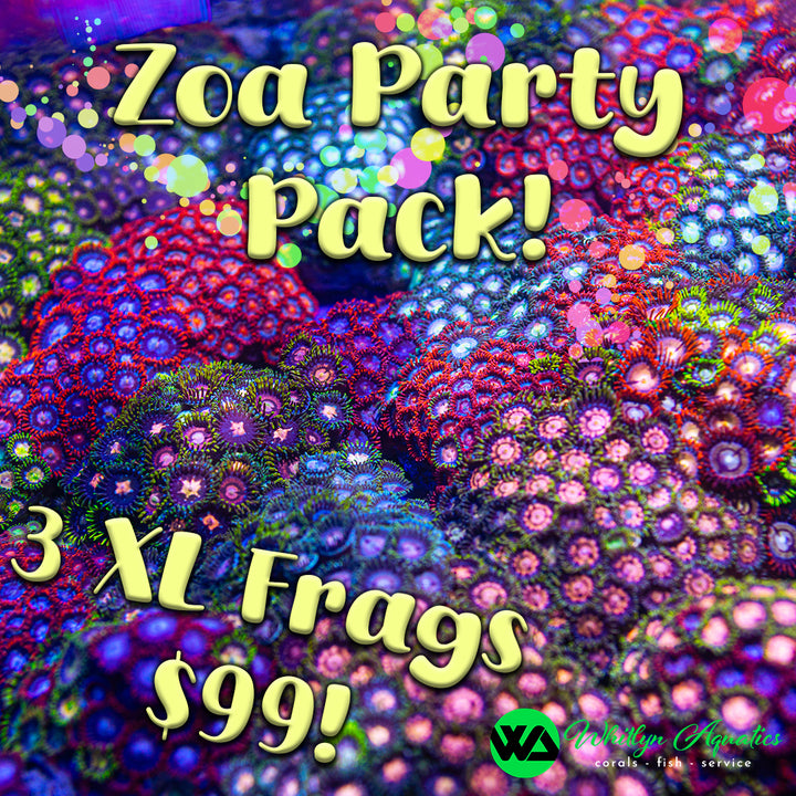 Zoa Party Frag Pack