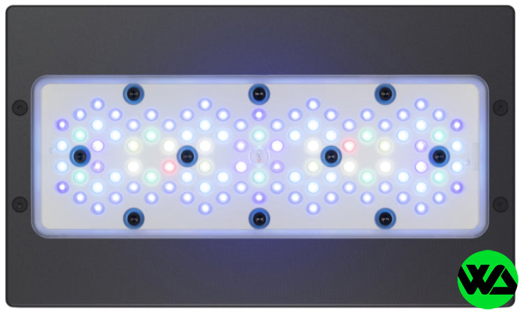 EcoTech Marine - Radion XR130 Gen 5 G5 Blue LED Light