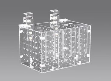 Red Starfish Fish Quarantine Acclimation Container – Whitlyn Aquatics Red Starfish Fish Quarantine Acclimation Container – Whitlyn Aquatics