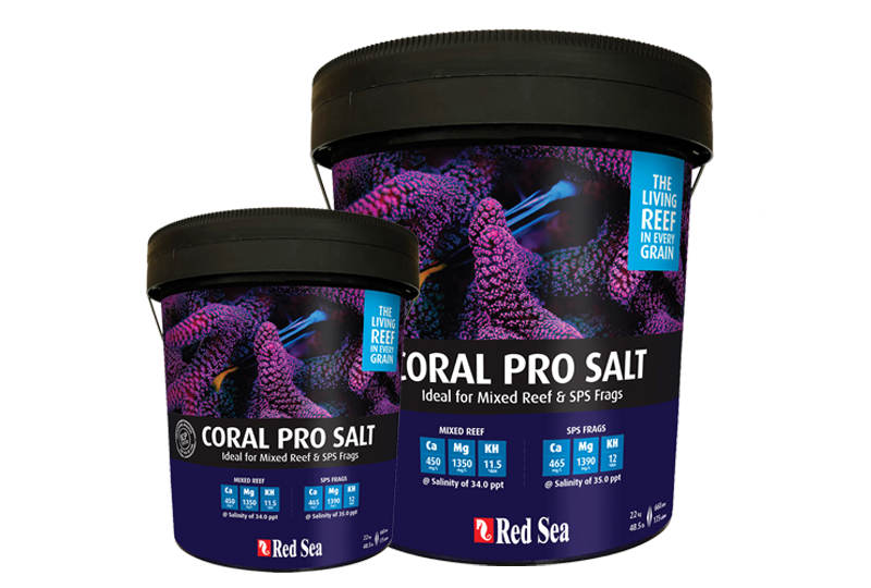 Red Sea Coral Pro Salt - 55 & 175 Gallon Bucket