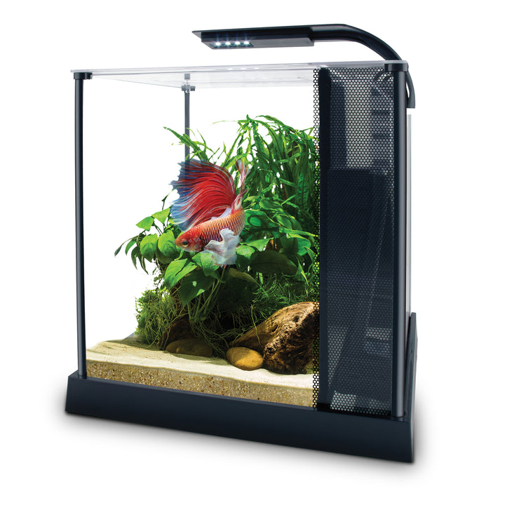 Fluval Betta Aquarium Kit 2.6 gallon