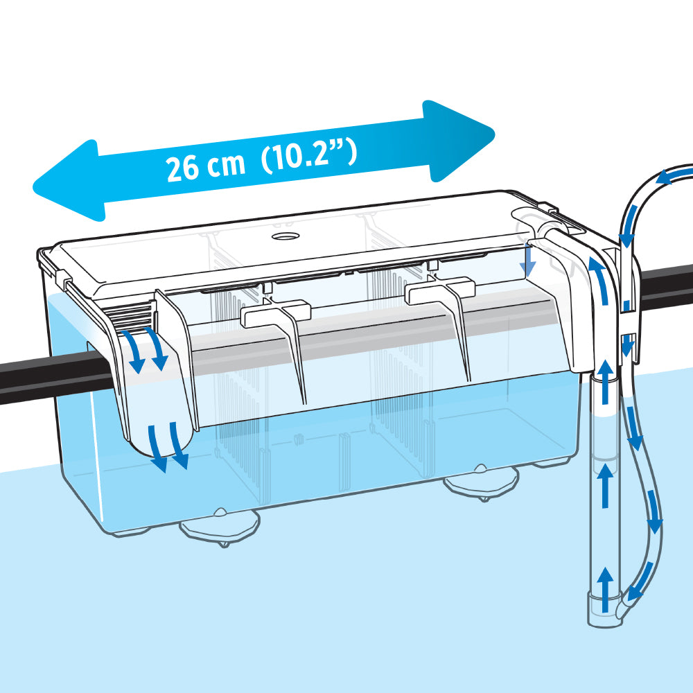 Fluval Multi-Chamber Holding & Breeding Box - Medium / Large