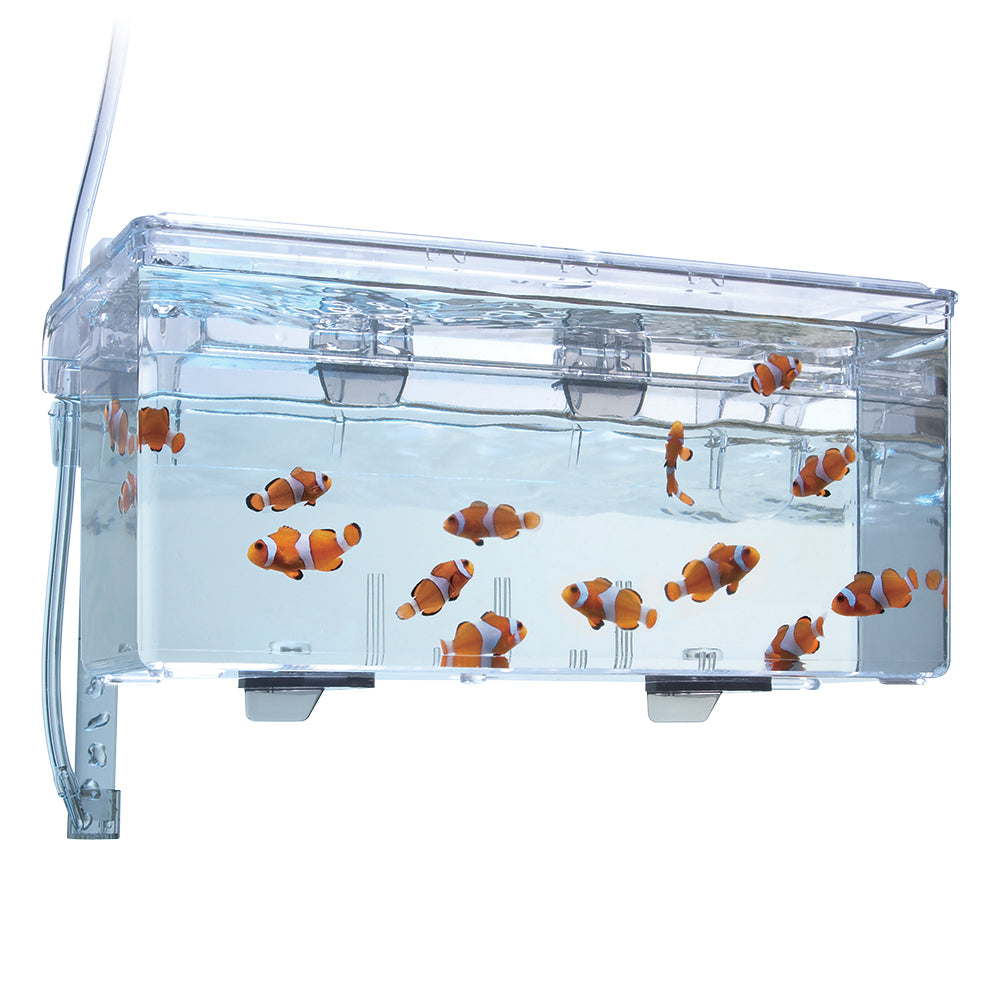 Fluval Multi-Chamber Holding & Breeding Box - Medium / Large