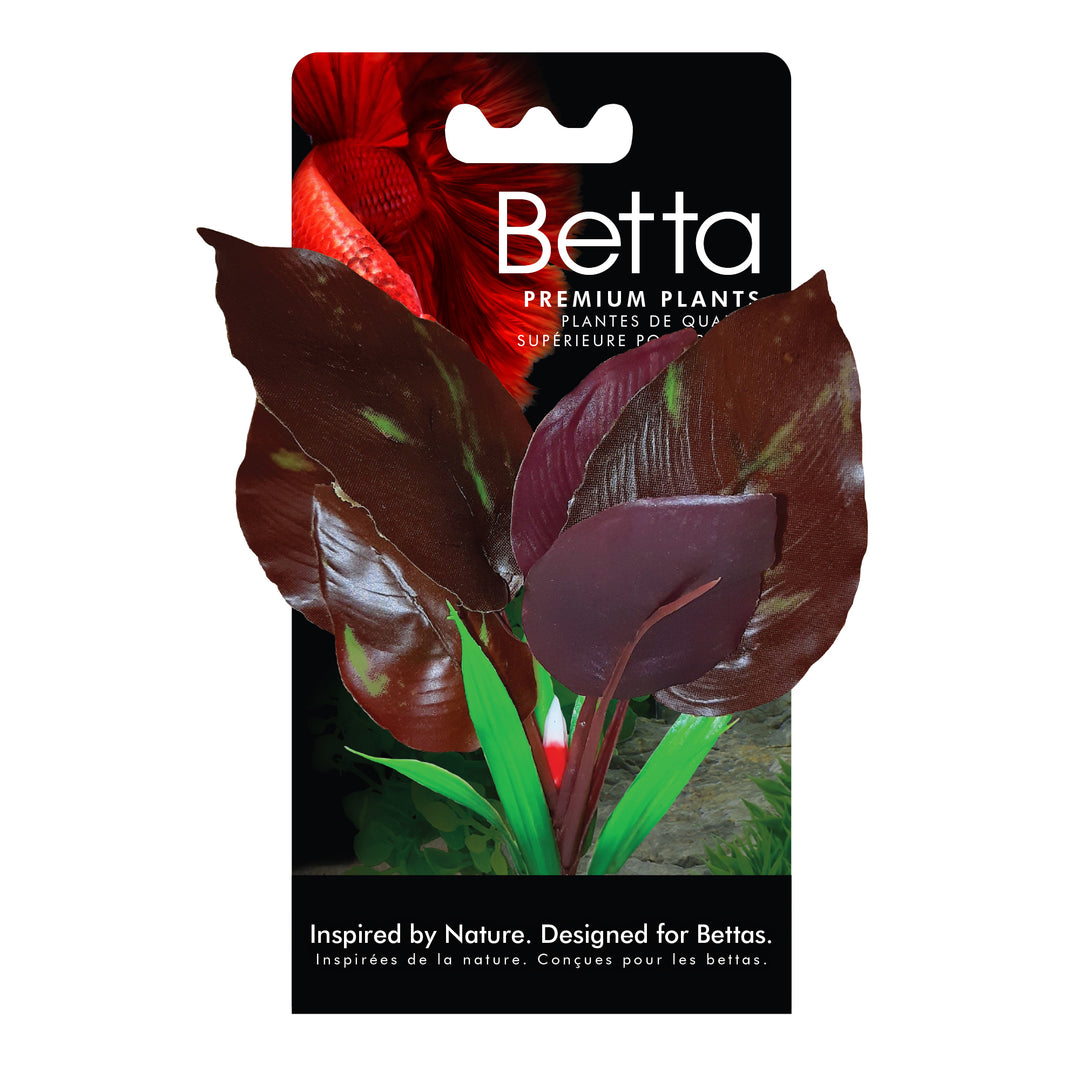 Fluval Betta Red Lizard Plant - 15 cm (6 in)