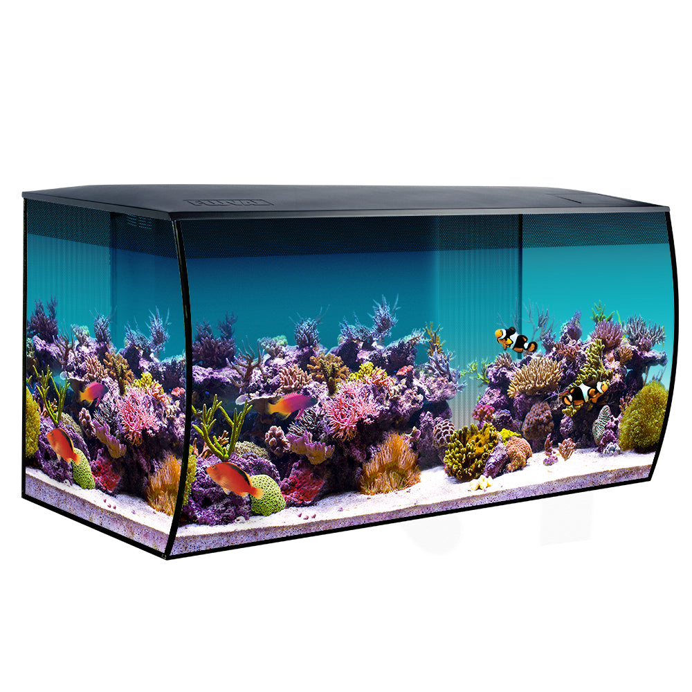 Fluval FLEX 32.5 Gallon Black Saltwater Kit