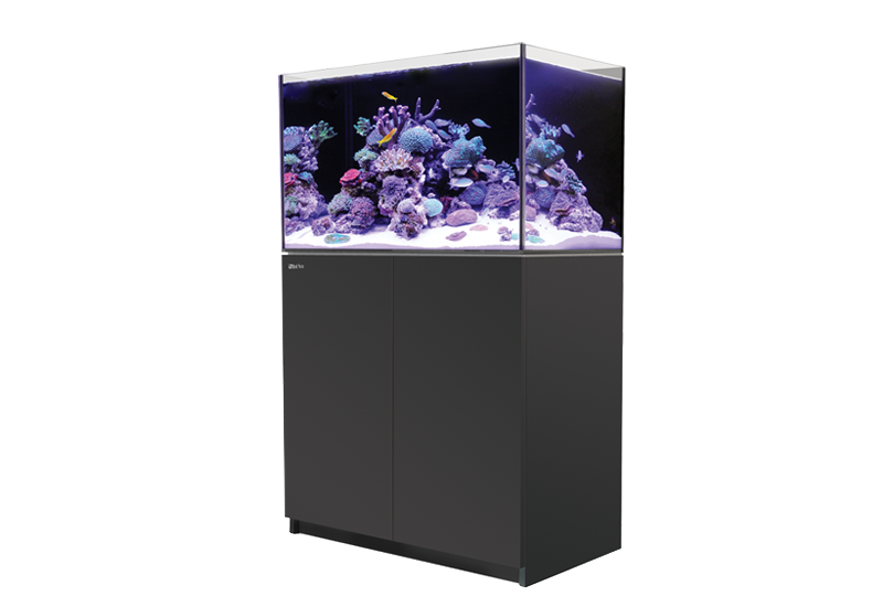 Red Sea Aquarium - Reefer 250 G2 - Black (65 Gallons)