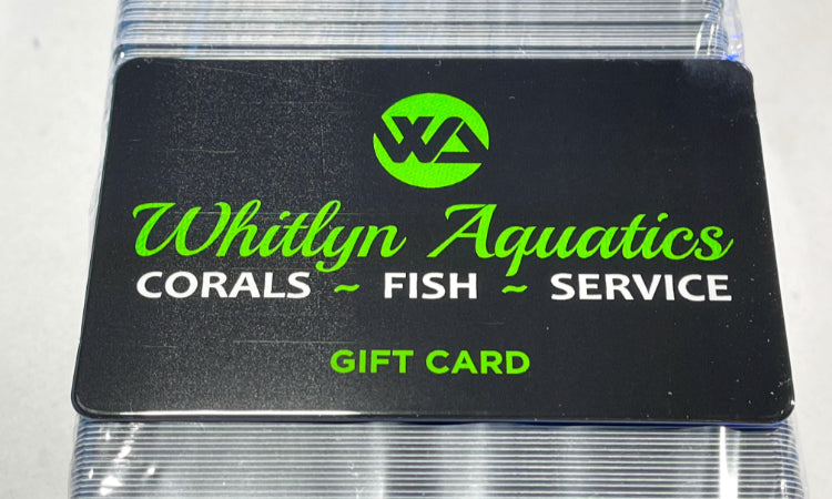 Whitlyn Aquatics - Gift Card