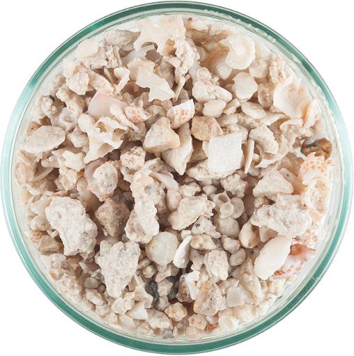 CaribSea Florida Crushed Coral 10lb