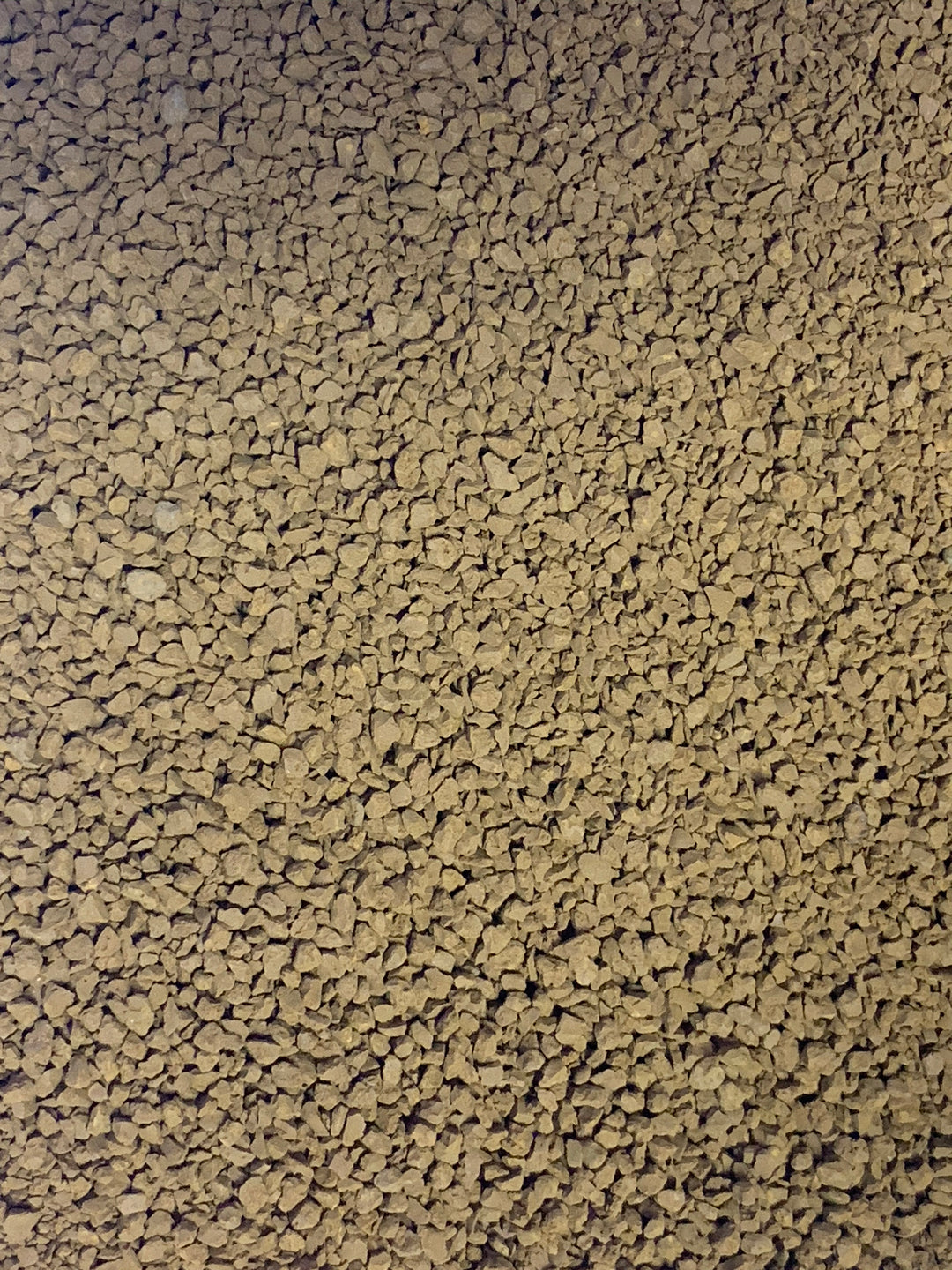 WA GFO By the Pound, Dry Goods - Whitlyn Aquatics - Live Coral