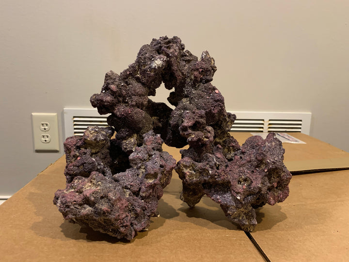 Live Rock- Doughnuts Pest Free,  - Whitlyn Aquatics - Live Coral