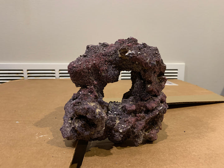 Live Rock- Doughnuts Pest Free,  - Whitlyn Aquatics - Live Coral