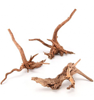 Wood Root - Various Sizes